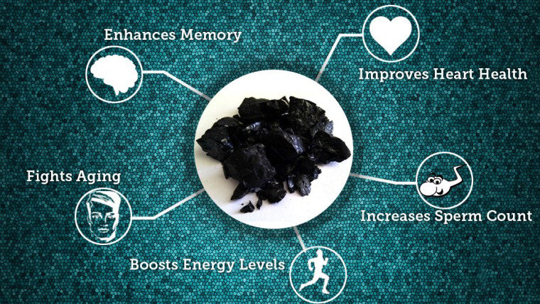 The Health Benefits of Shilajit